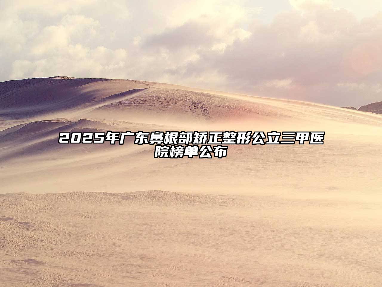 2025年广东鼻根部矫正整形公立三甲医院榜单公布